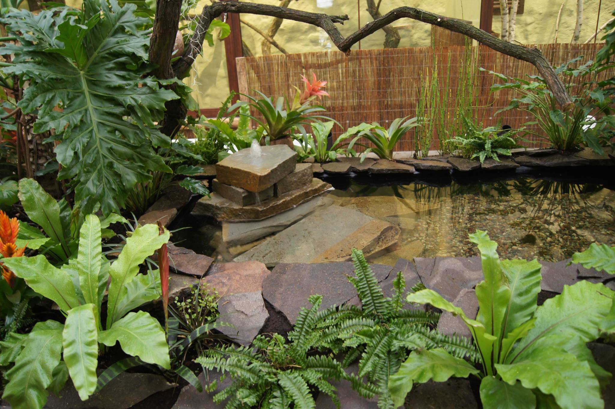 ptaszarnia - Stare ZOO w Poznaniu