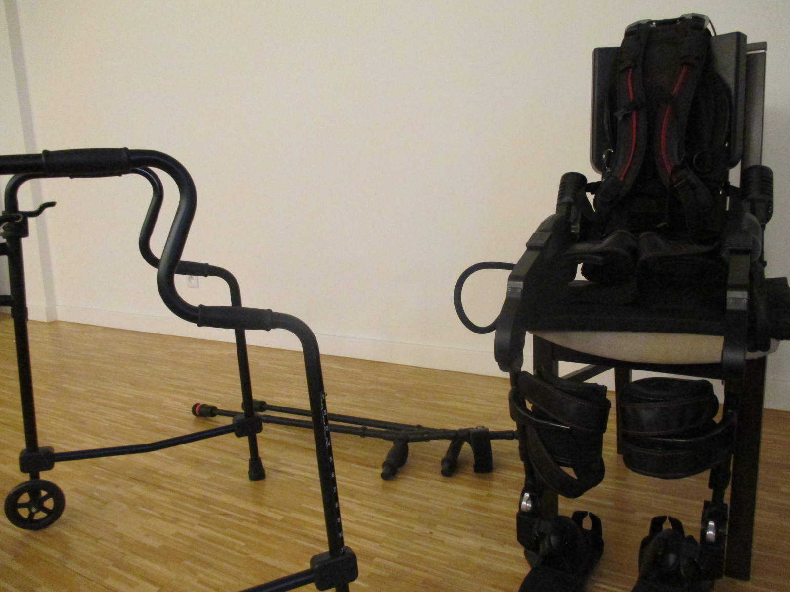 egzoszkielet - Danuta Synkiewicz