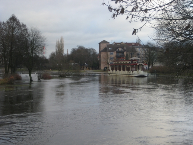 missisipi piła - Wiesława Pinkowska
