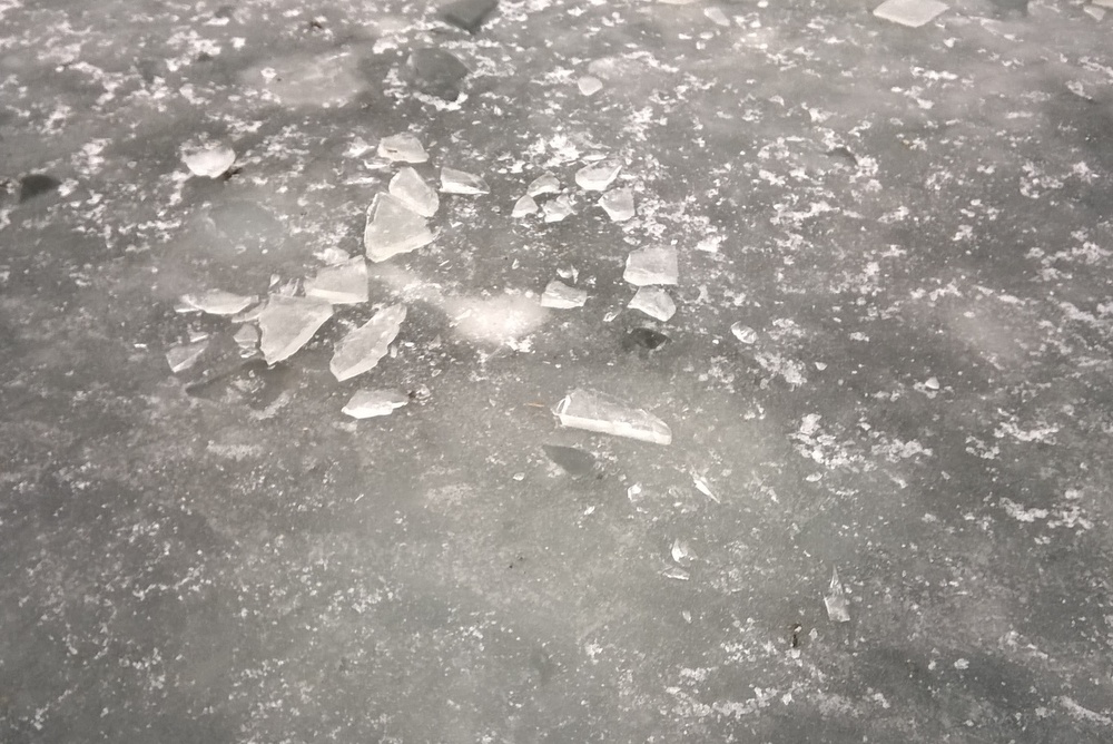 ćwiczenia pokaz Swarzędz lód (5) - Jacek Butlewski