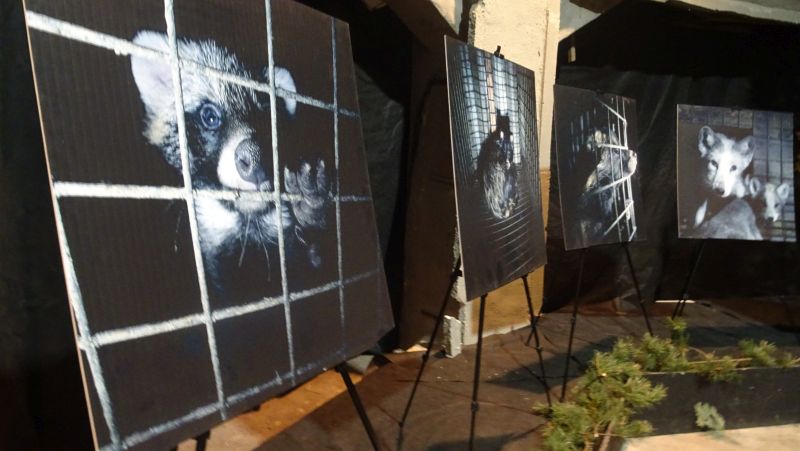 stop futrom - Maciej Kluczka