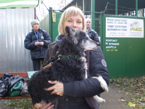 Pies ze schroniska - MZZ Leszno