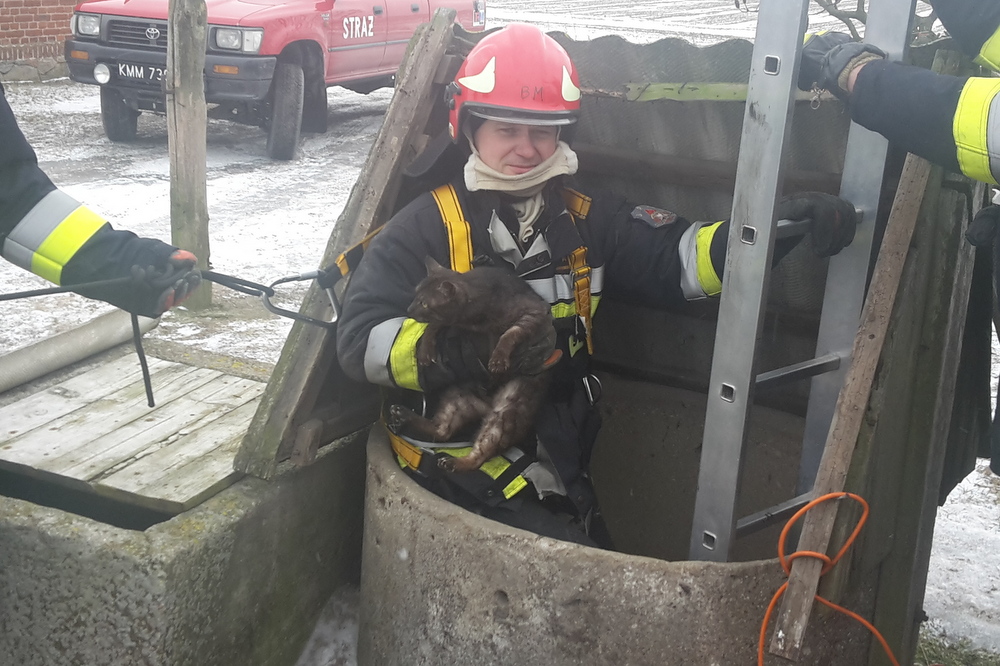 kot wyciągnięty ze studni1 - KM PSP Konin