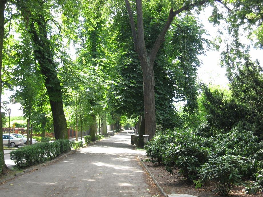 rawicz planty - polskaniezwykla.pl