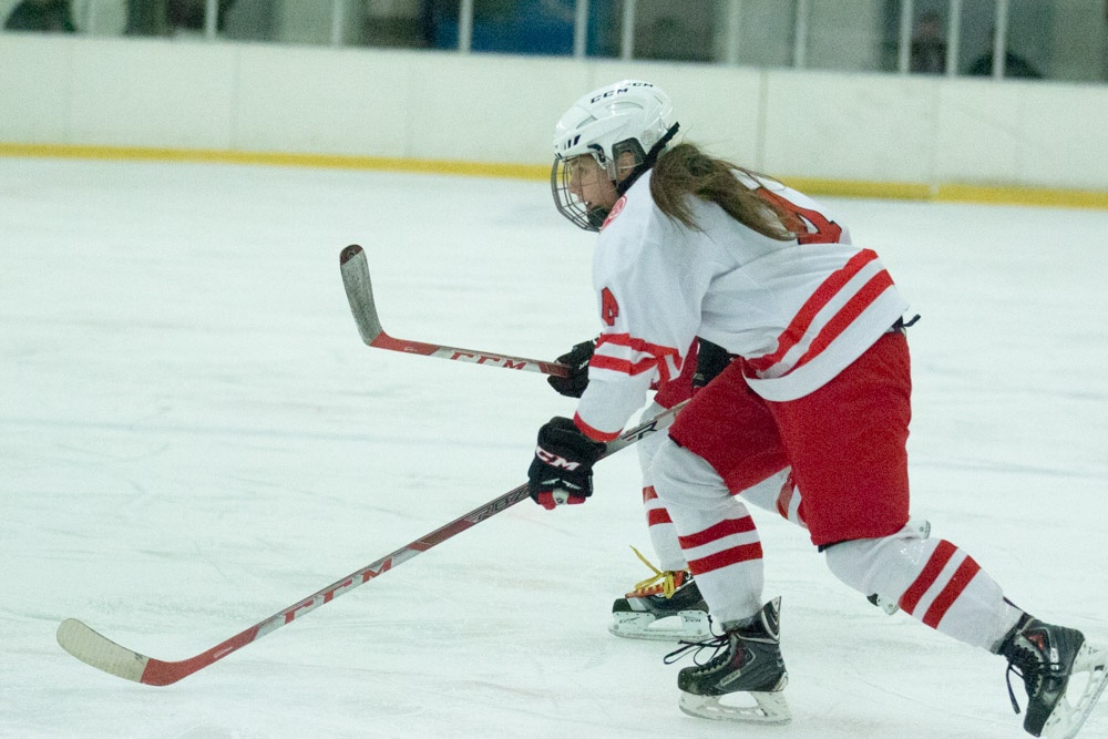hokej na lodzie kobiet POL-HOL (6) - Leon Bielewicz