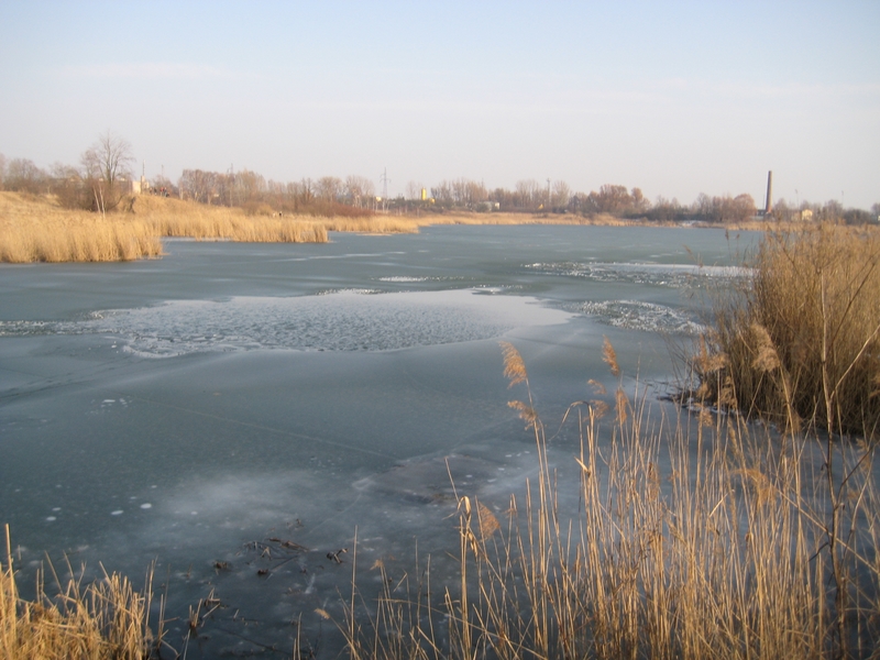 Stawy Świerczewo - utonięcie - Adam Michalkiewicz