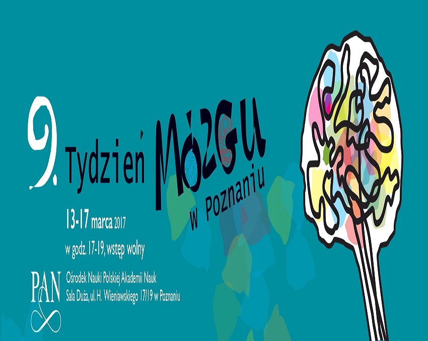 mózg_fot - Materiały prasowe