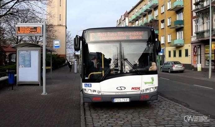 autobus mzk ostrów - UM Ostrów Wlkp.