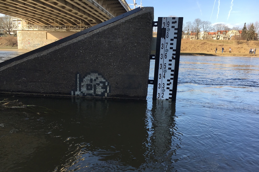 wysoki poziom rzeki warty - Wojtek Wardejn