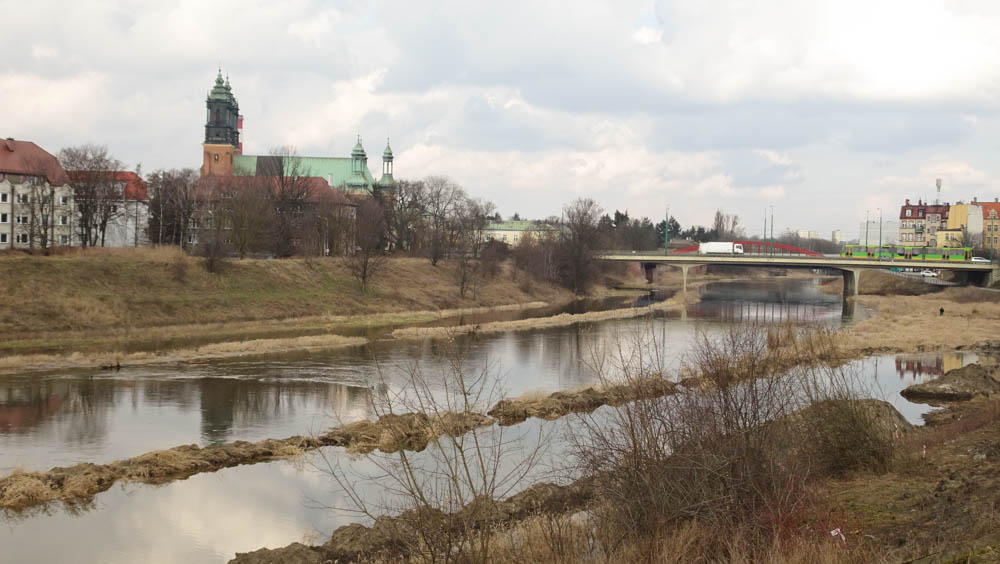 Sandra Błażejewska