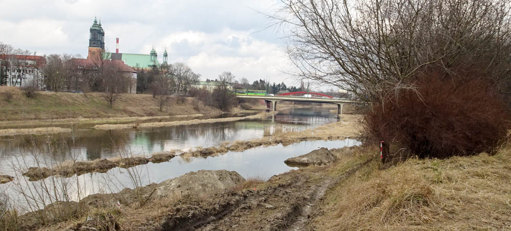 Sandra Błażejewska