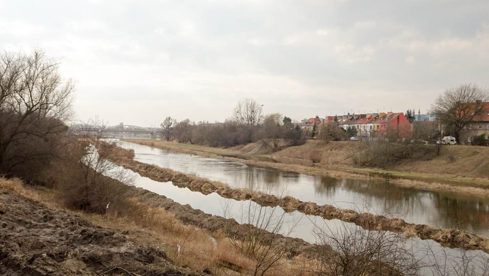 Sandra Błażejewska