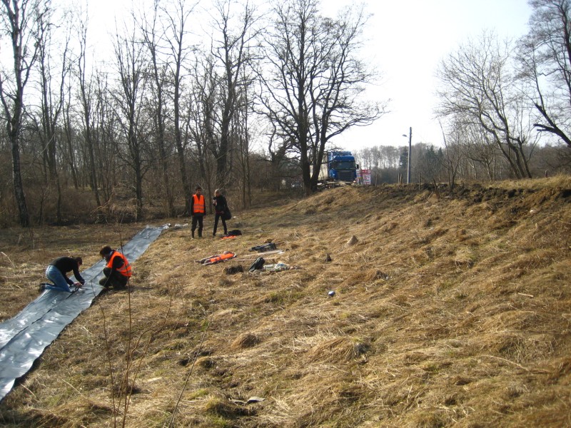 Agnieszka Maciejewska