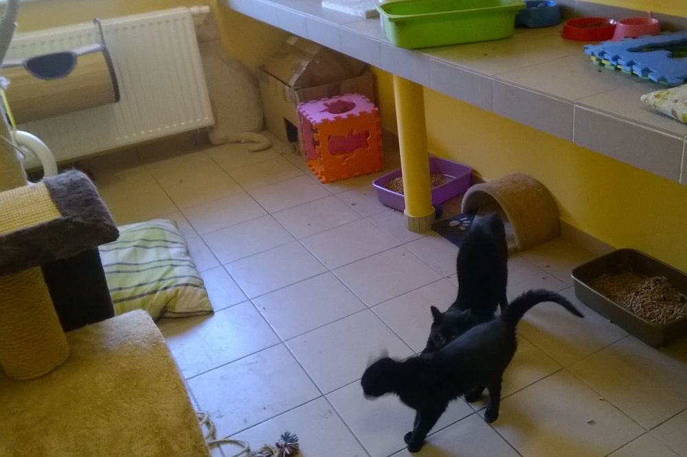 skałowo schronisko (3) - Jacek Bultewski