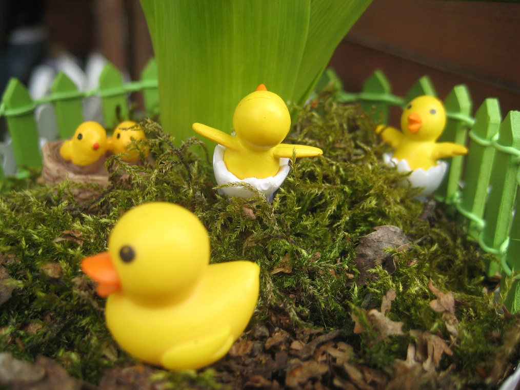 jarmark wielkanocny Środa 4 - Rafał Regulski