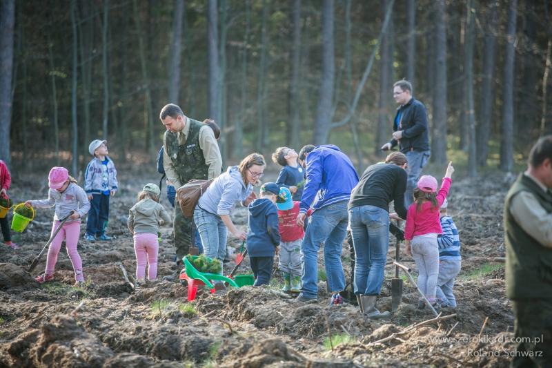 dzieci sadzą drzewka - Pod Dębusiem Olbrzymkiem