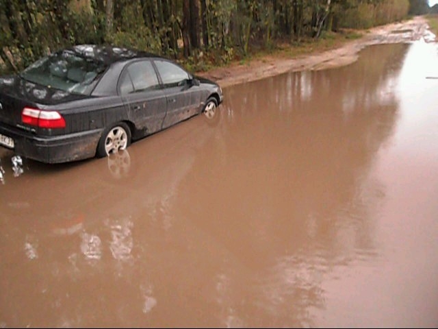 Droga powiatowa, kaliskie - Danuta Synkiewicz