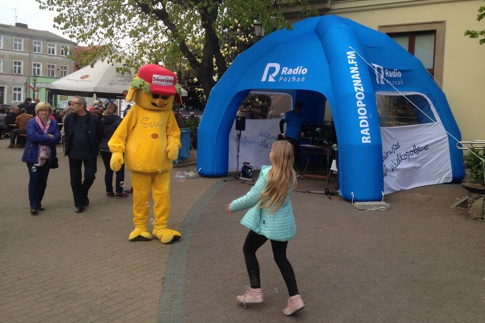 rto w swarzędzu józefinki2017a - Piotr Niewiarowski