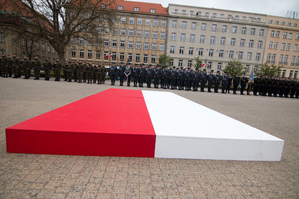 Konstytucja 3 Maja - Wojciech Wardejn