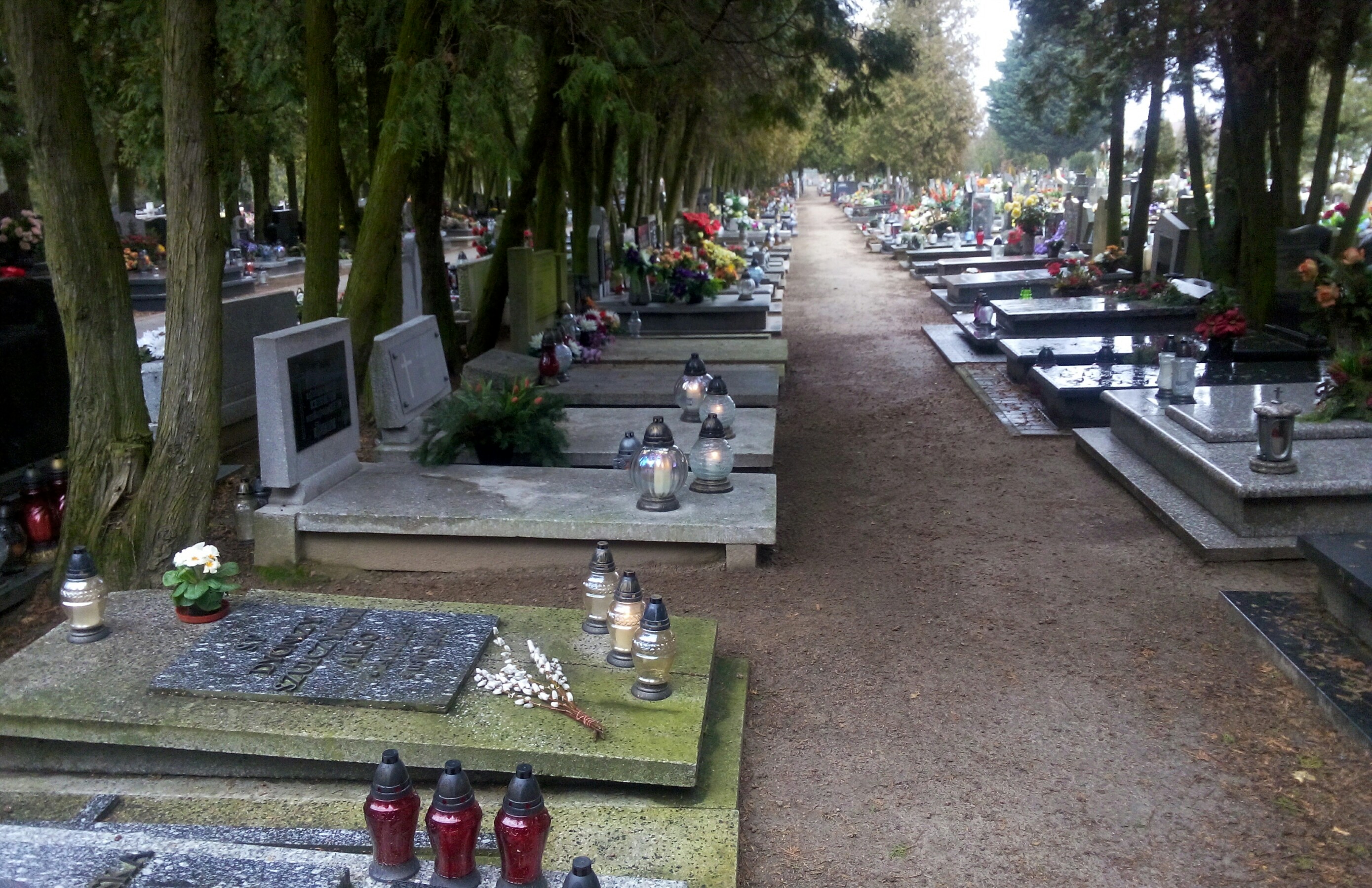 cmentarz ogólne