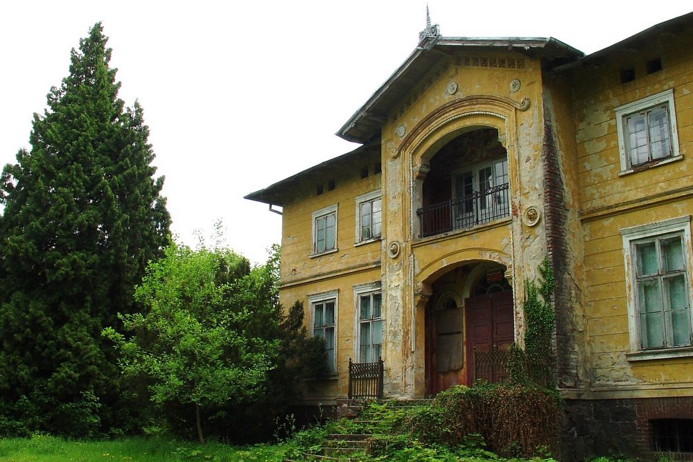 stawiany pałac - Gmina Skoki