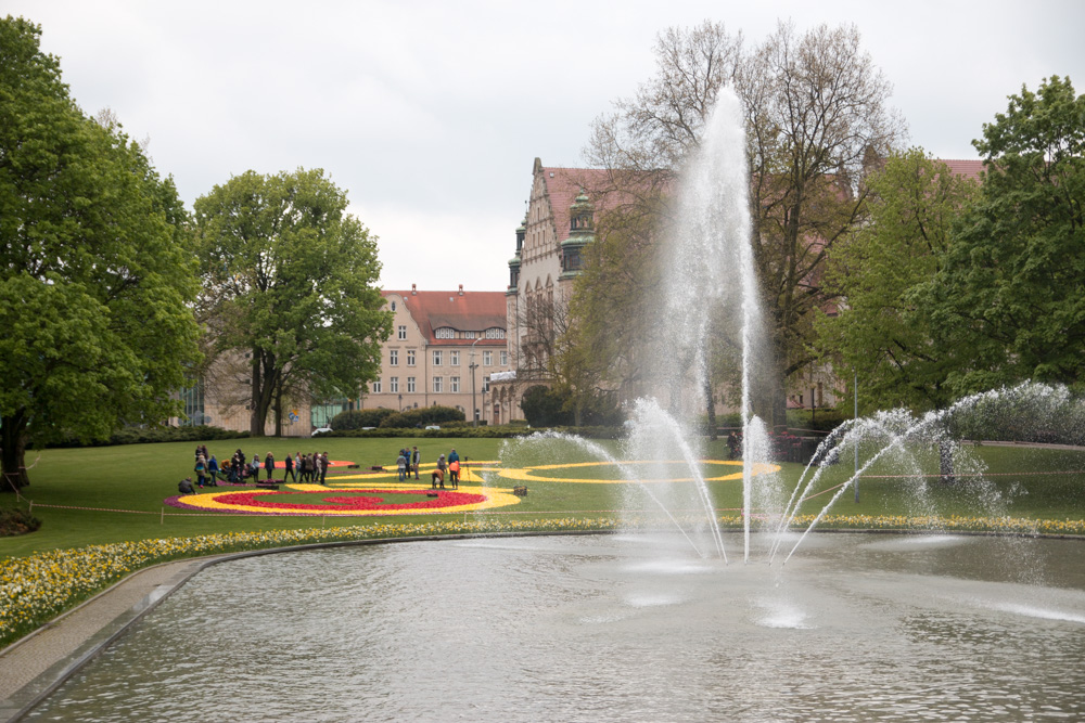 dywany kwiatowe2017tz (7) - Tomasz Żmudziński