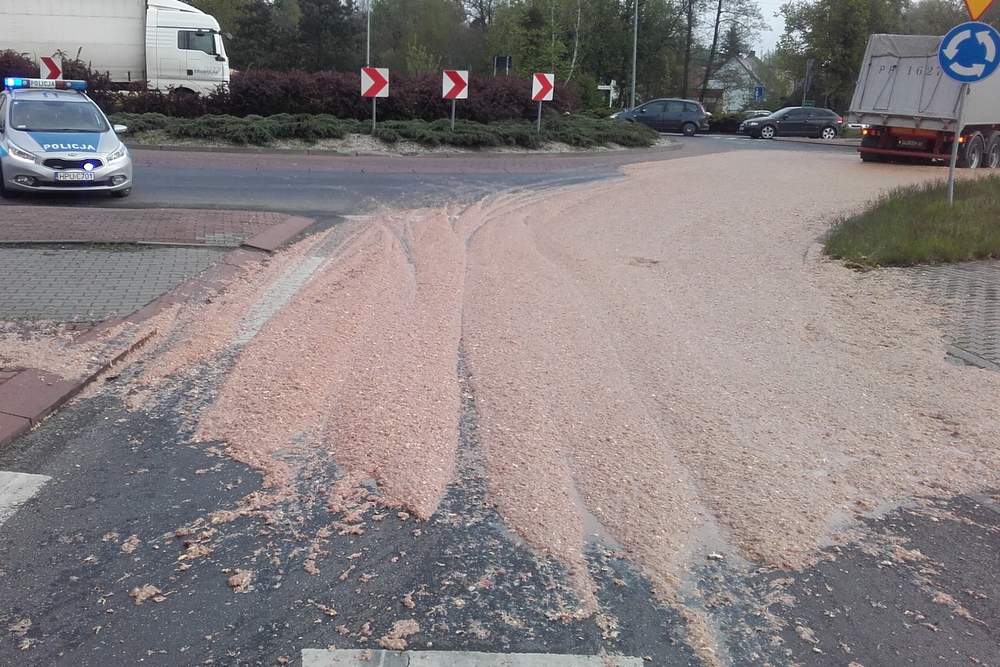 mięso na drodze (7) - GDDKiA