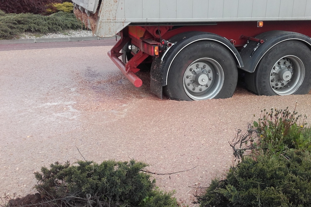 mięso na drodze (3) - GDDKiA