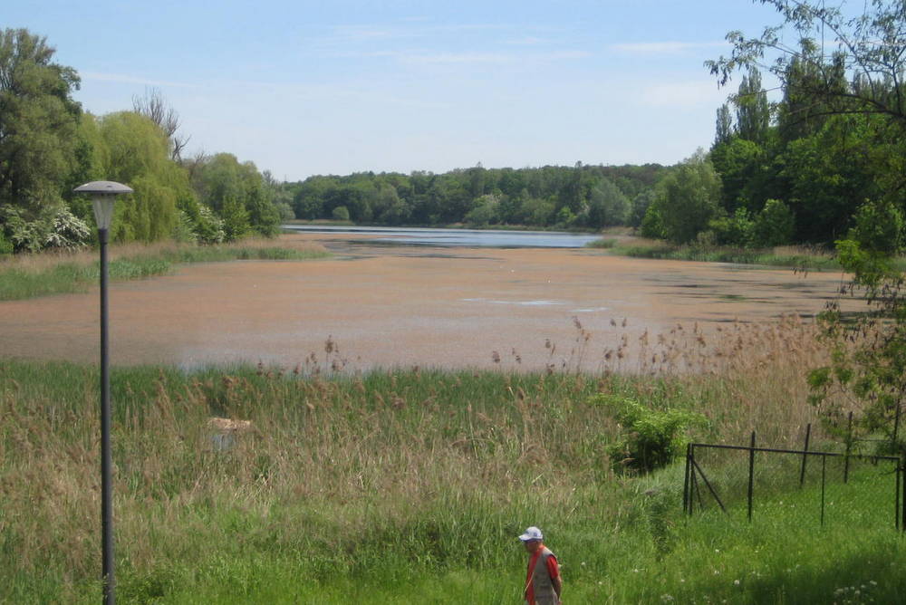 jezioro winiary - Rafał Muniak