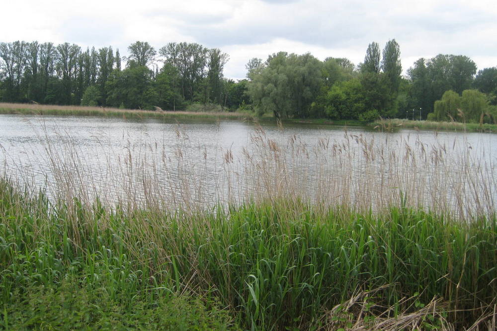 jezioro jelonek - Rafał Muniak