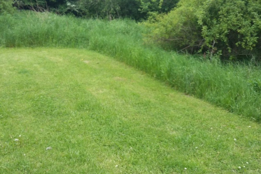 koszenie trawy - Szymon Mazur