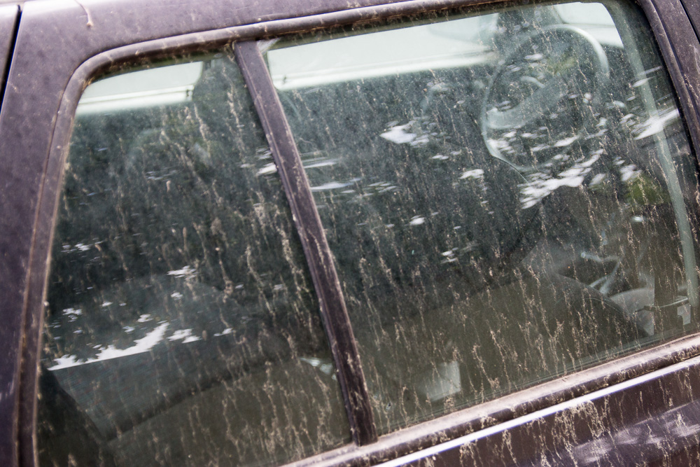 żółty pył na samochodach (3) - Leon Bielewicz