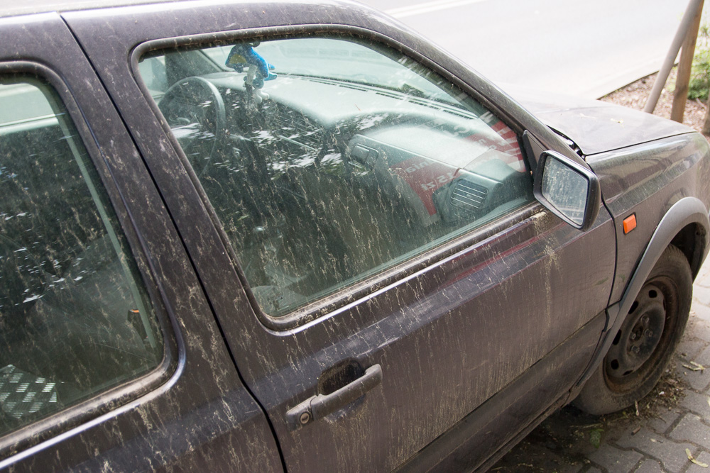 żółty pył na samochodach (1) - Leon Bielewicz