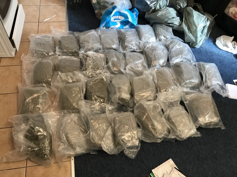 narkotyki za milion - KWP Poznaniu