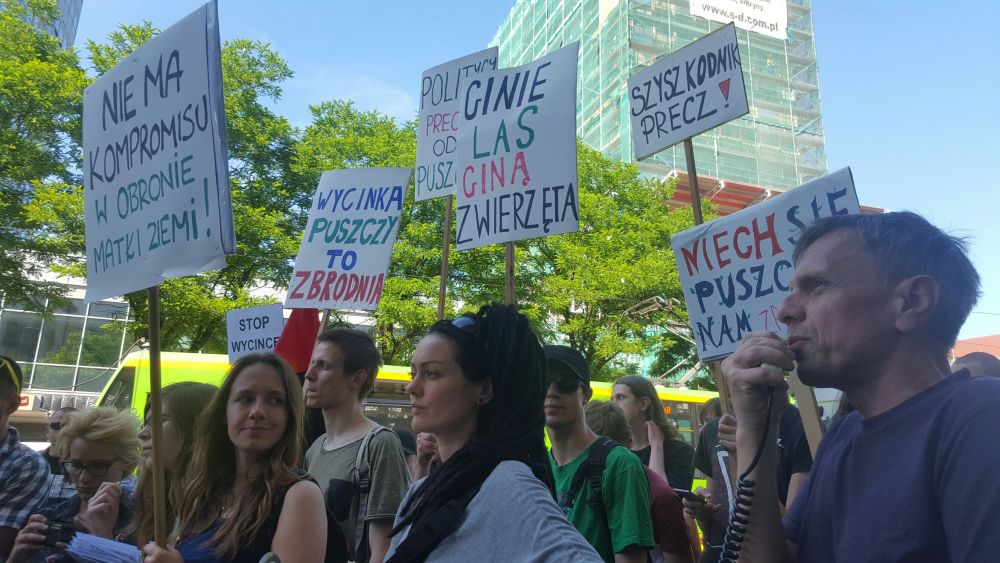 protest puszcza 3 - Michał Jędrkowiak