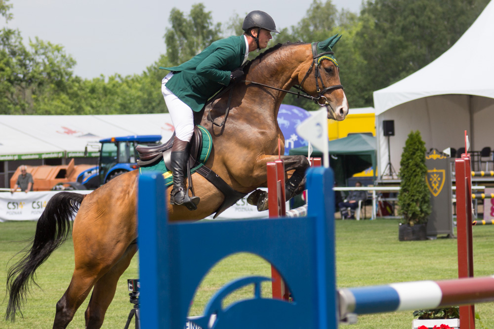 zawody jeździeckie na Woli 2017 (11) - Tomasz Żmudziński