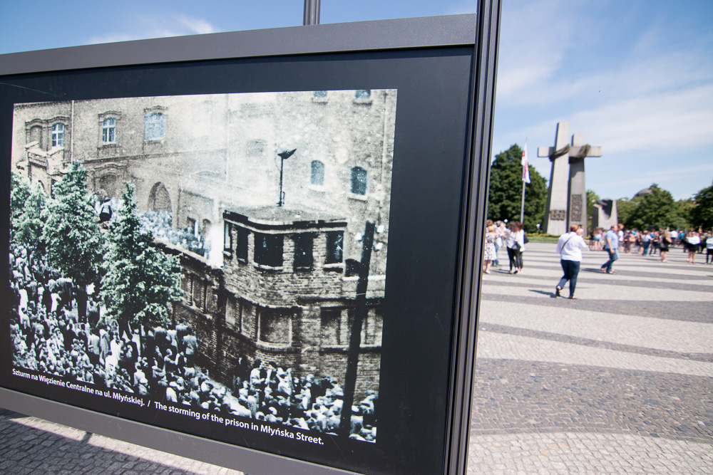 IMG_4016 - Wojtek Wardejn