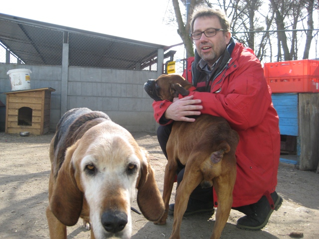 schronisko Gaj 2 - Rafał Regulski