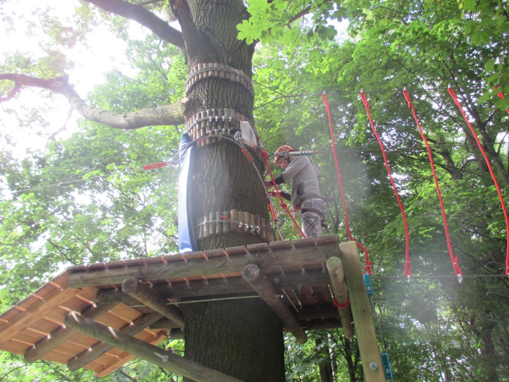 oark linowy Kalisz 1 - Danuta Synkiewicz