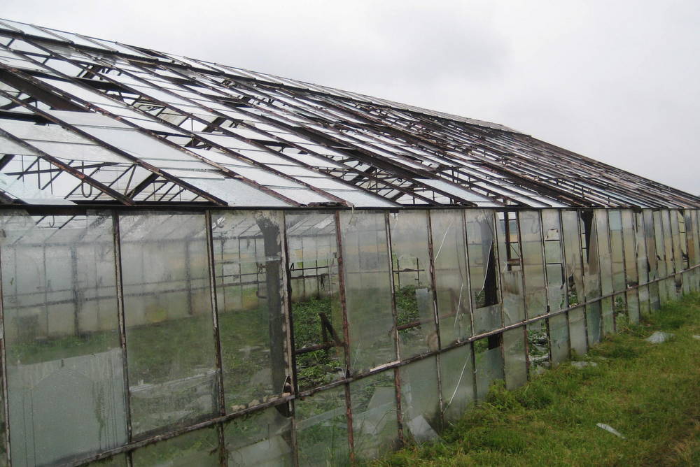 zniszczenia po gradobiciu (5) - Jacek Marciniak