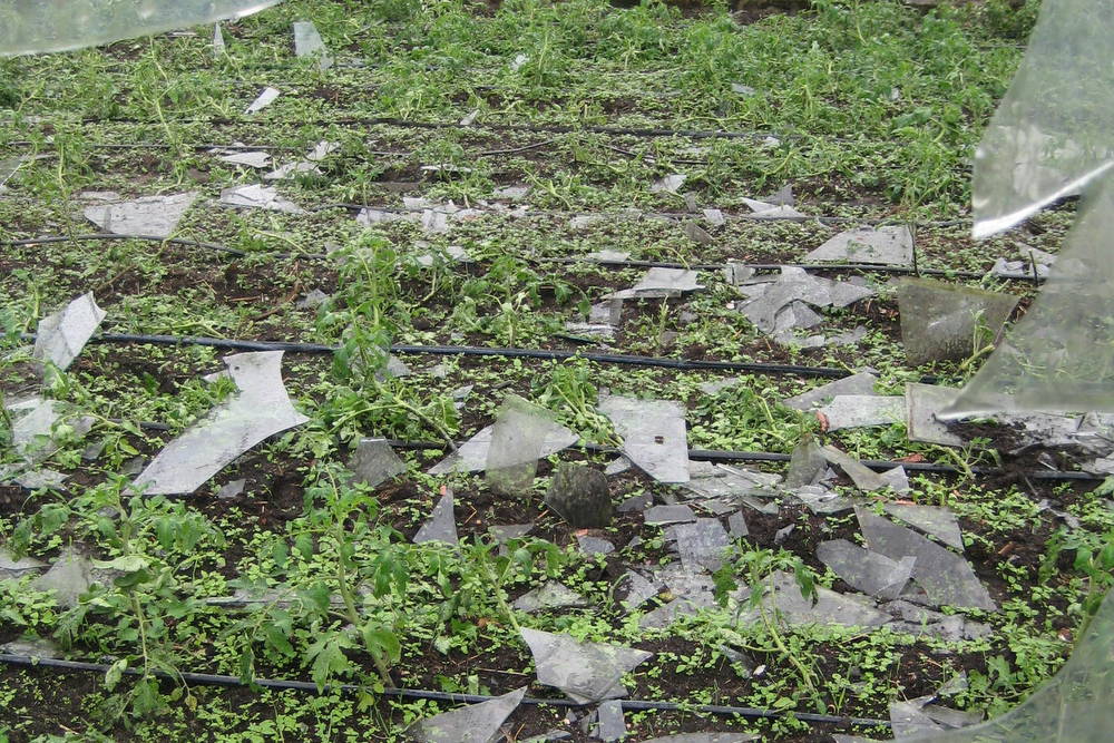 zniszczenia po gradobiciu (4) - Jacek Marciniak