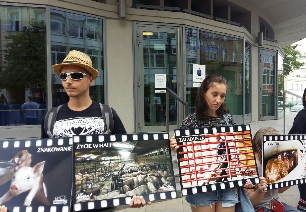 zwierzęta_akcja_viva - Magdalena Konieczna