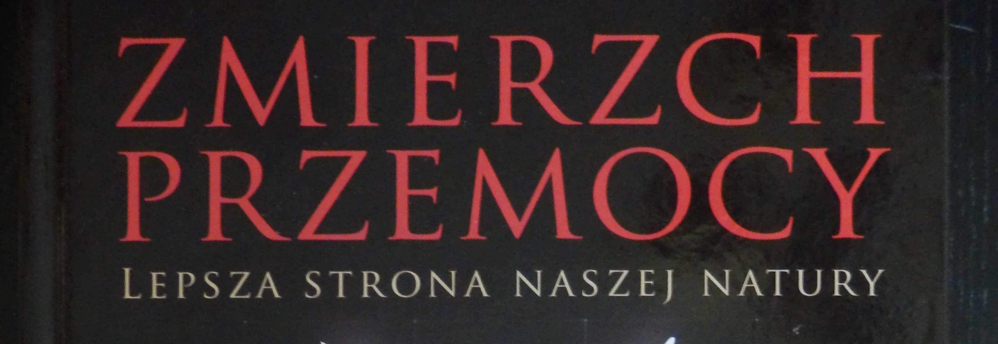 Zmierzch Przemocy - Maciej Mazurek