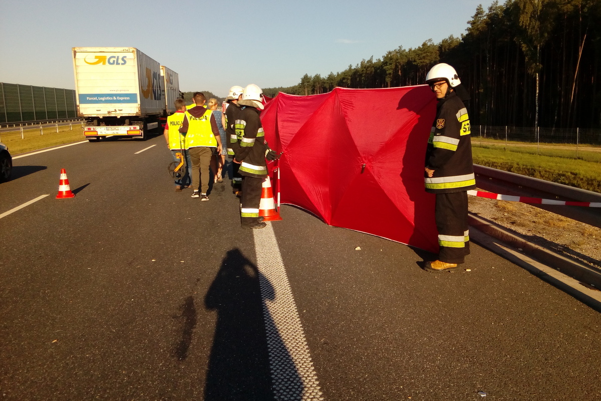 Wypadek Kępno - Danuta Synkiewicz