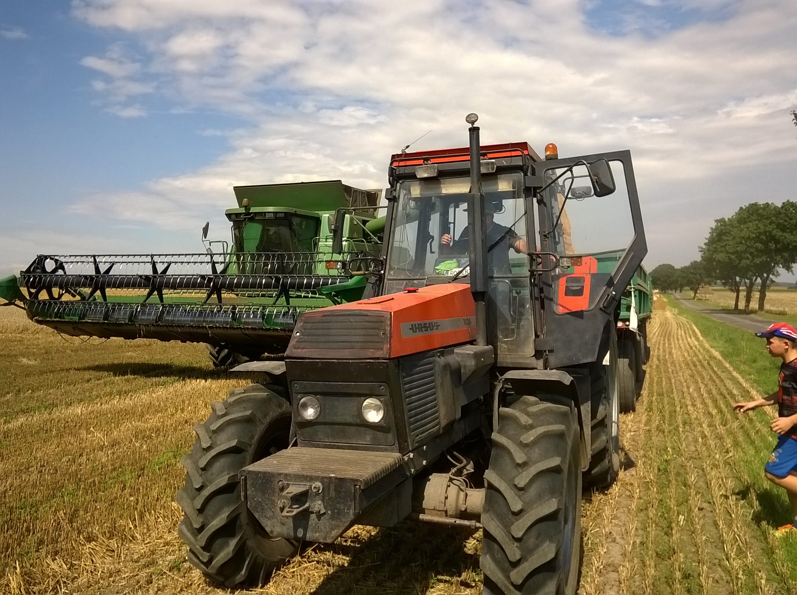 Żniwa w Wielkopolsce - Jacek Butlewski