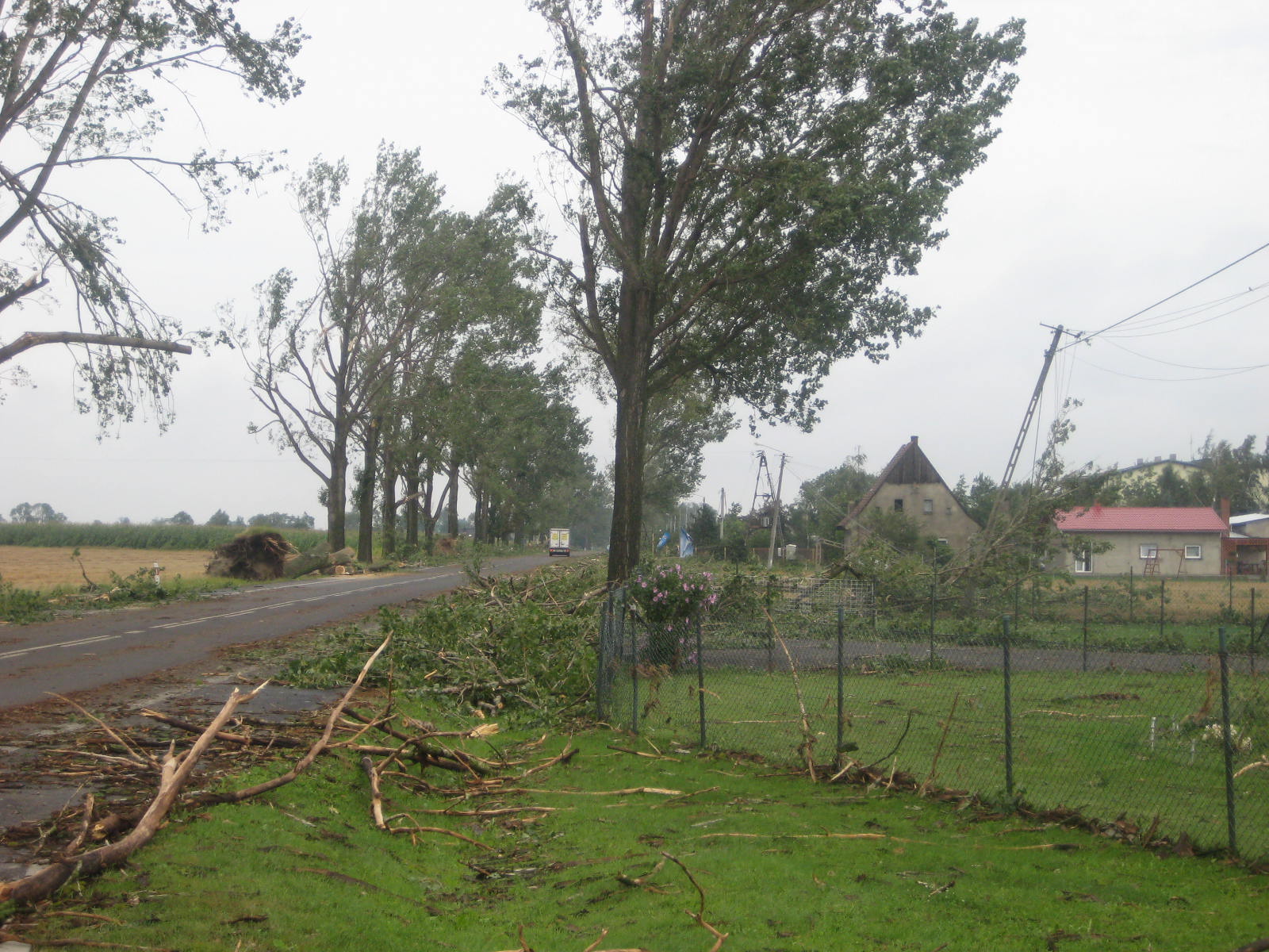 Gniezno burza drzewo - Rafał Muniak