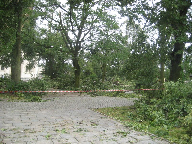 gniezno po burzy - Rafał Muniak