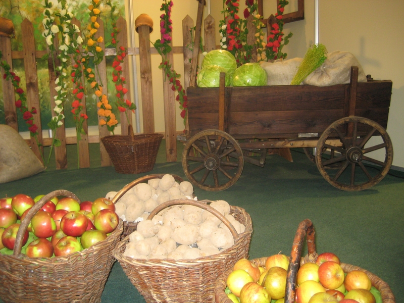 Tour - Jabłka - Radio Merkury