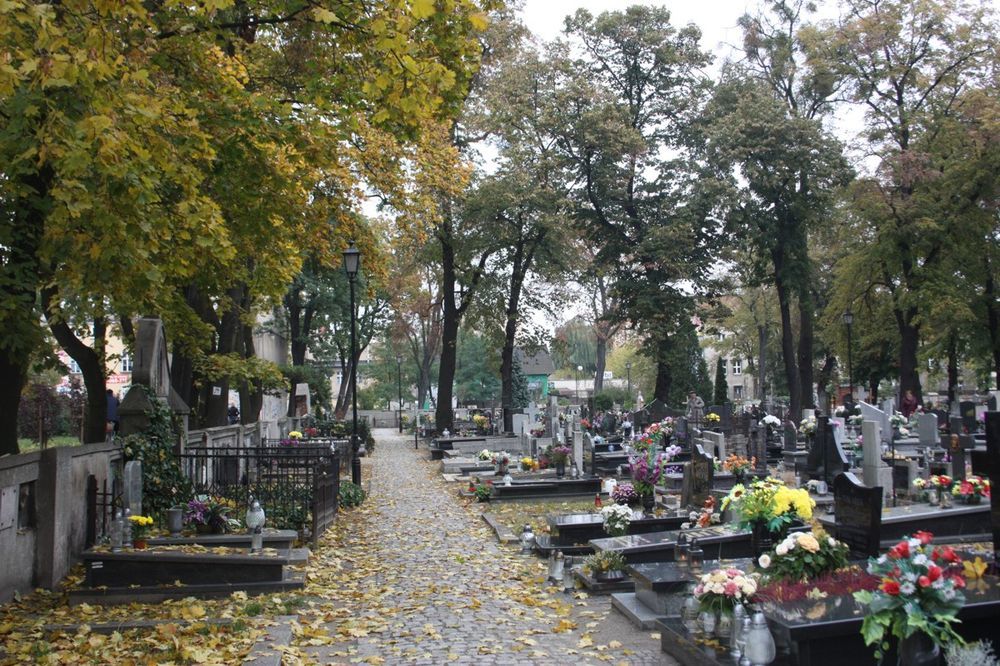 stary cmentarz Ostrów Wlkp. - Archiwum UM Ostrów Wlkp.