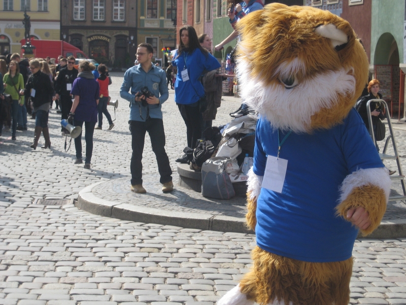 Studencki Prima Aprilis - Wojciech Chmielewski